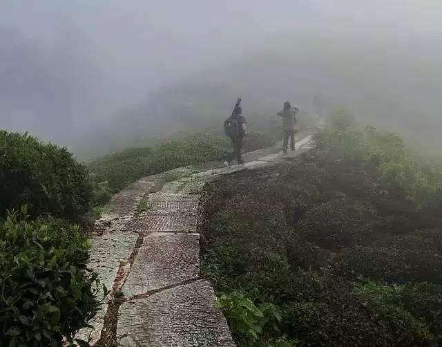 乡愁，作者：余光中