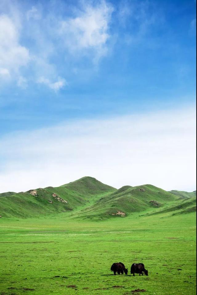 它打败了日本镰仓，一举荣获了《孤独地球》里最佳旅游地的Top 1