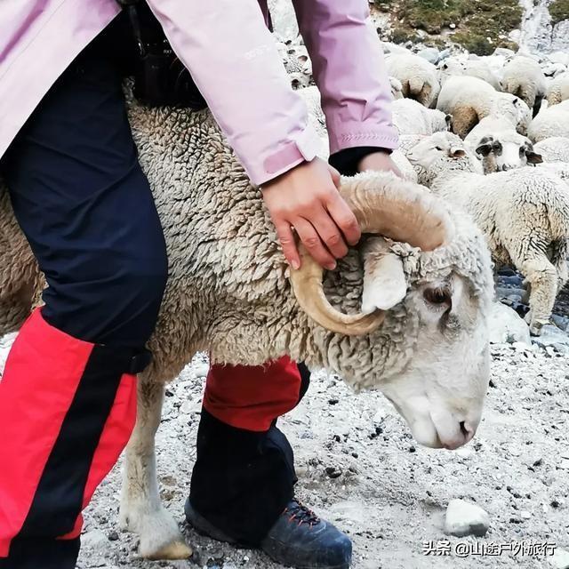 没有信号的120公里，徒步天山绝美乌孙古道，迷失在人间天堂