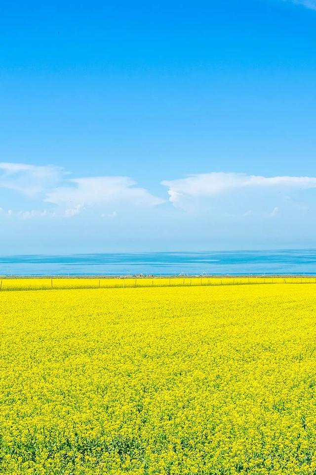 文旅 | 我的后半生，再穷也要去旅行