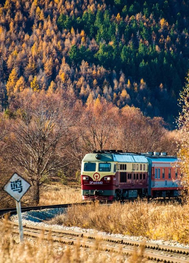 文旅 | 我的后半生，再穷也要去旅行