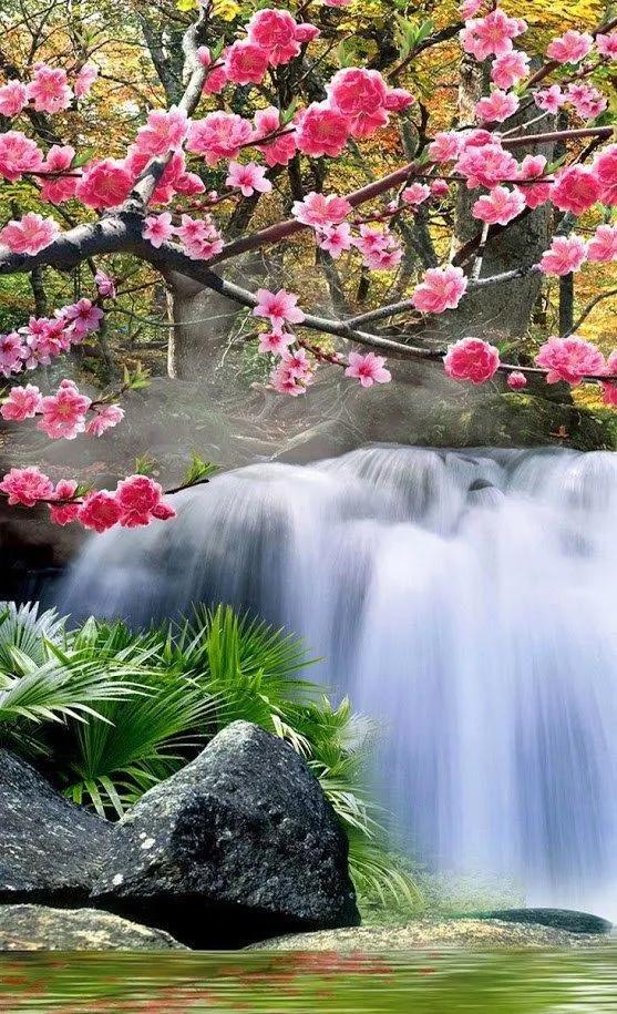 大自然的鬼斧神工，太美了，看完心情愉悦！不给大伙看实在可惜！