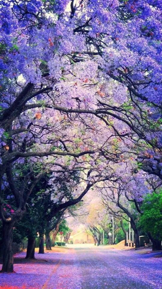 大自然的鬼斧神工，太美了，看完心情愉悦！不给大伙看实在可惜！