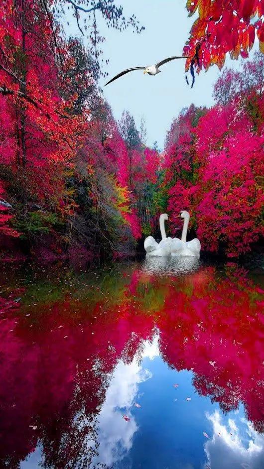 大自然的鬼斧神工，太美了，看完心情愉悦！不给大伙看实在可惜！