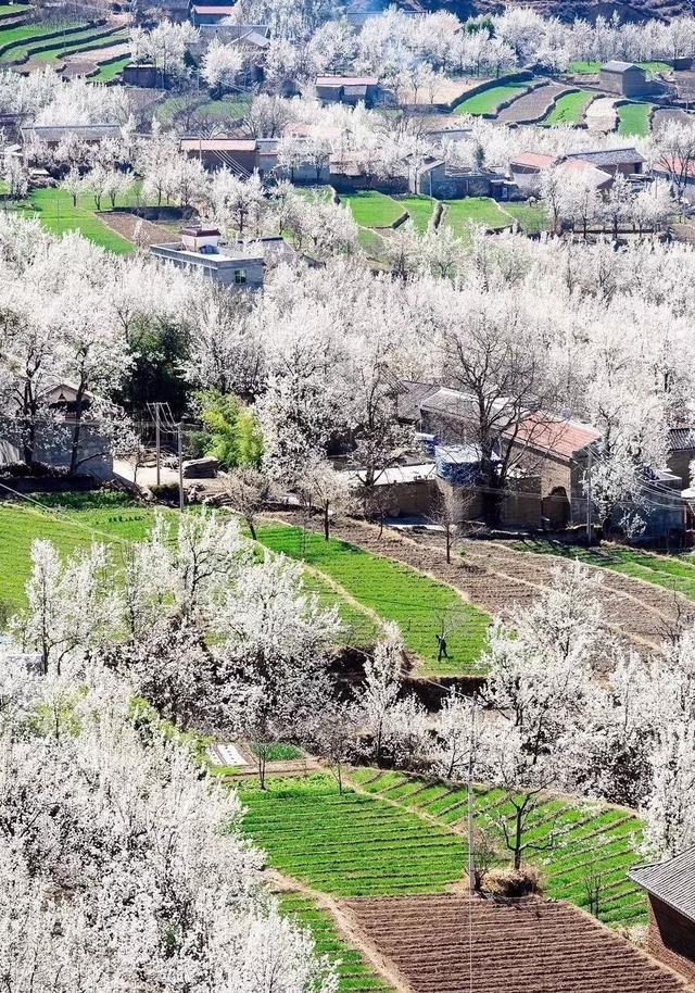 走过千山万水，还是川西大环线最美！