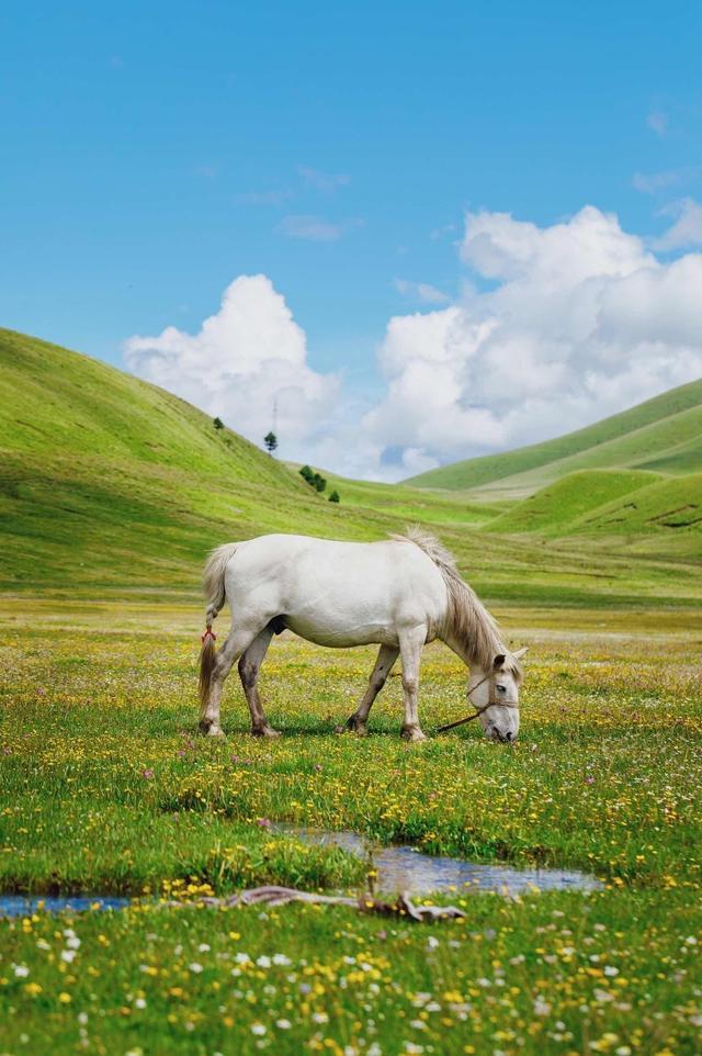 走过千山万水，还是川西大环线最美！