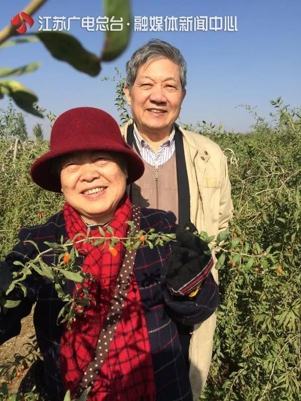 真·神仙眷侣！79岁教授30多年陪患病妻子走遍千山万水：我永远爱你