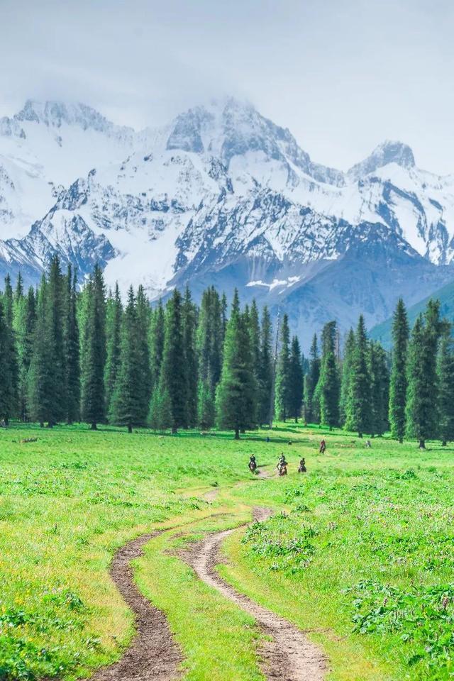 七月，忽然就想去新疆了