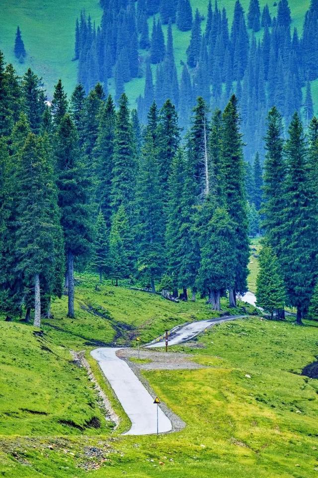 七月，忽然就想去新疆了