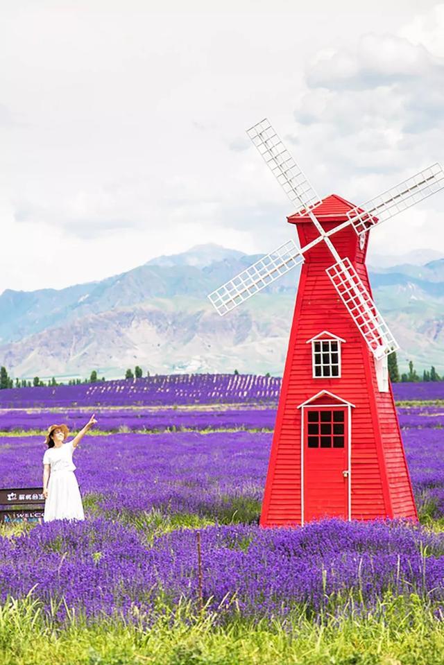 七月，忽然就想去新疆了