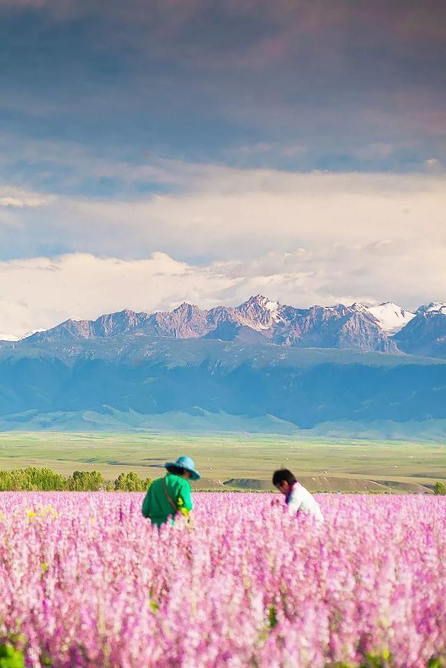 七月，忽然就想去新疆了