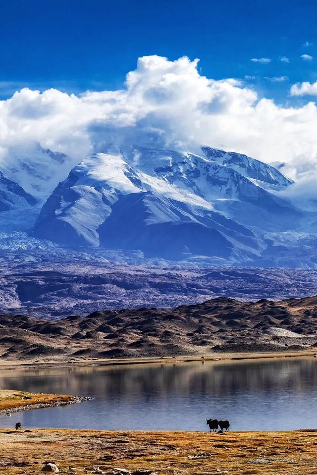 七月，忽然就想去新疆了