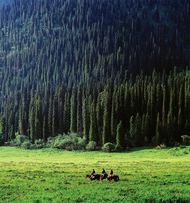 离海最远的，是天山