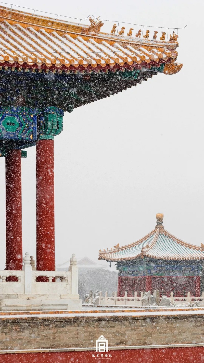 冬天，就是要看雪