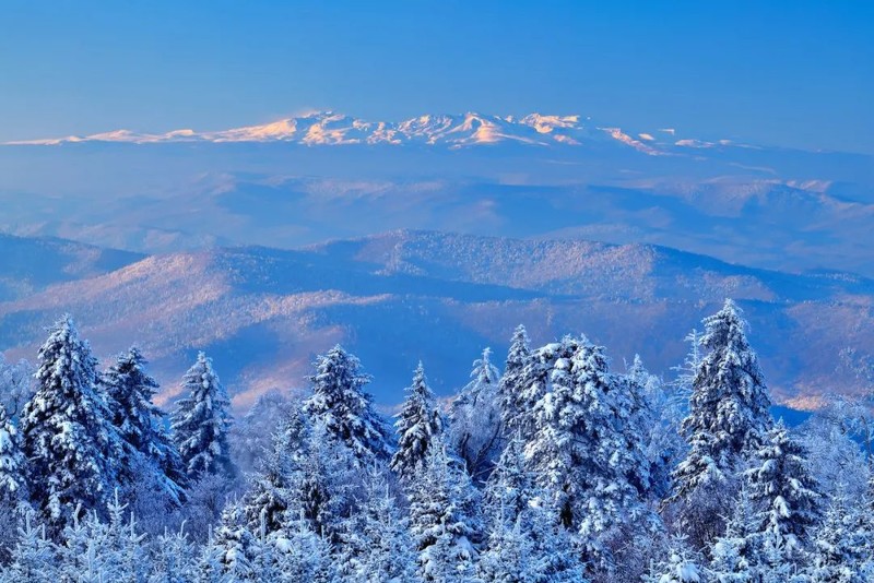 冬天，就是要看雪