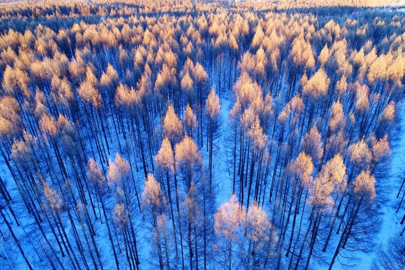 冬天，就是要看雪