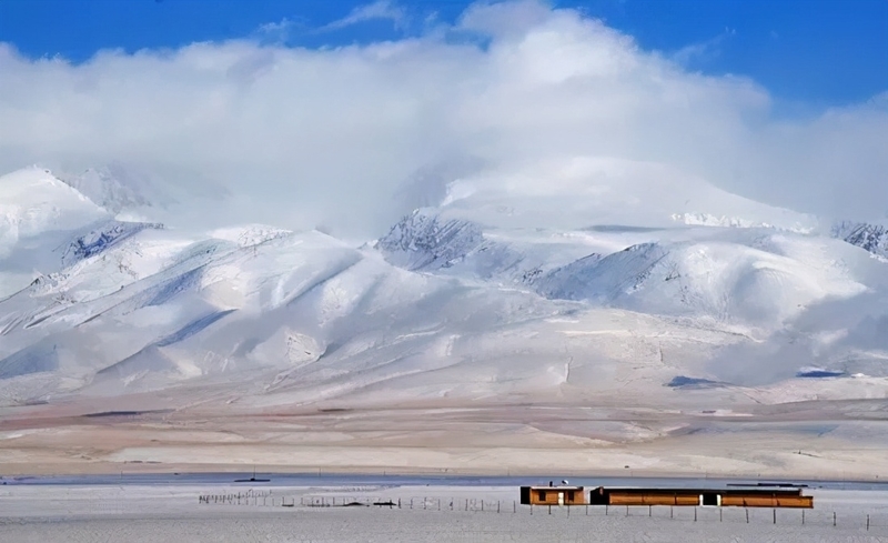 冬天，就是要看雪