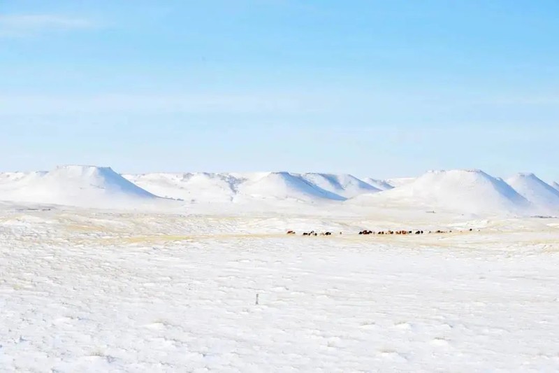 冬天，就是要看雪