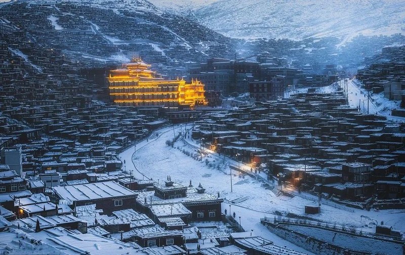 冬天，就是要看雪