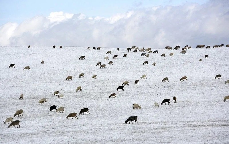 冬天，就是要看雪