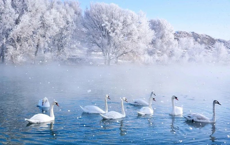 冬天，就是要看雪