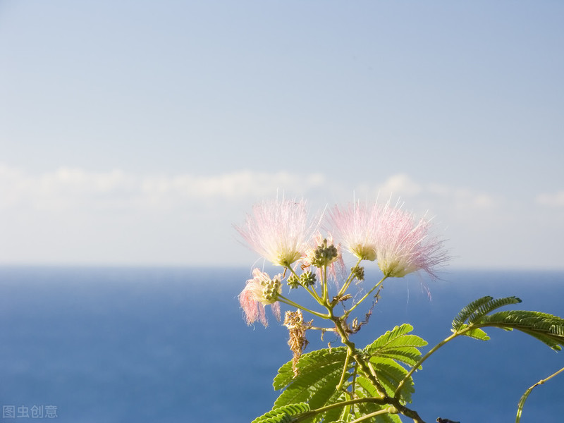 为什么手机拍照老是拍不好看呢？学会改掉这5个摄影错误非常重要