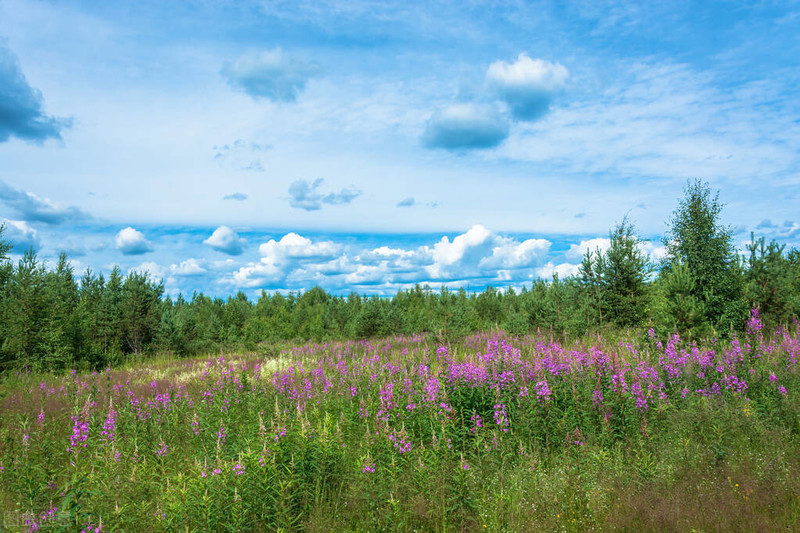 为什么手机拍照老是拍不好看呢？学会改掉这5个摄影错误非常重要