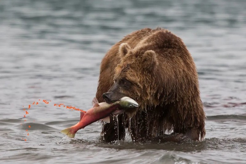 你知道“世界的尽头”在哪里吗？