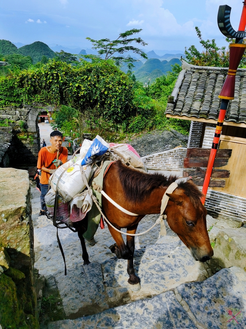 世界最大的瑶寨藏在广东深山中,距离广州3.5小时车程