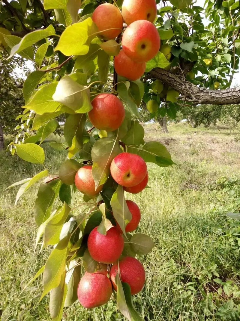 辽宁，“撩您”
