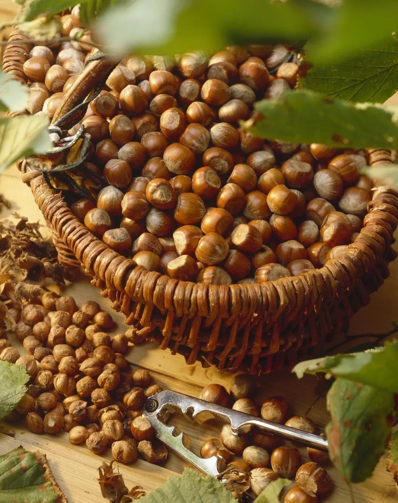 辽宁，“撩您”