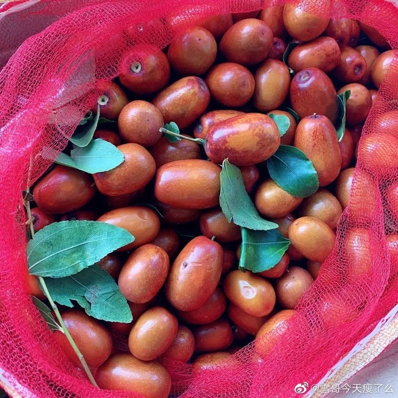 辽宁，“撩您”