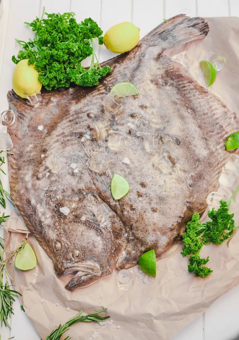 辽宁，“撩您”