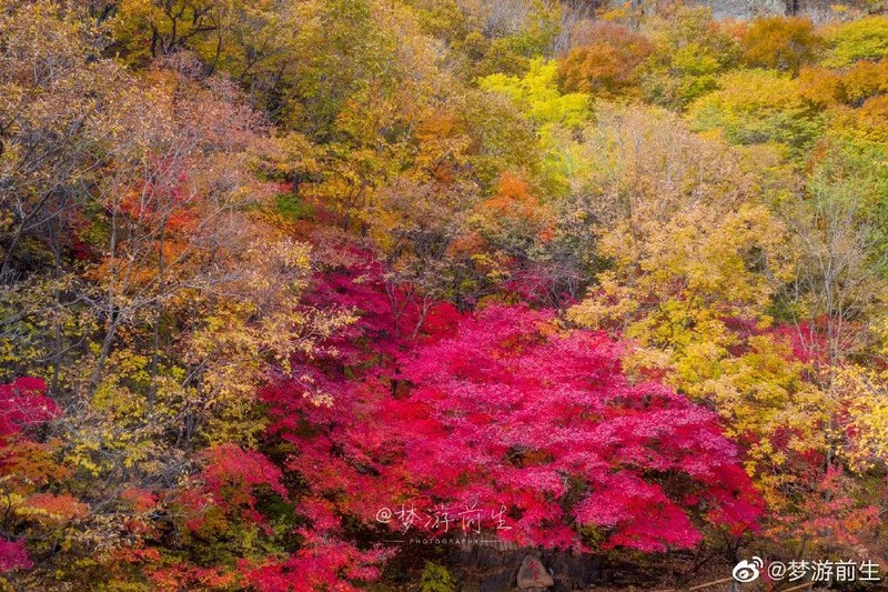 辽宁，“撩您”