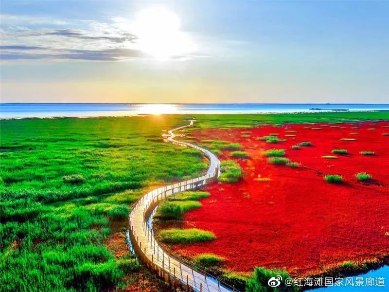 辽宁，“撩您”