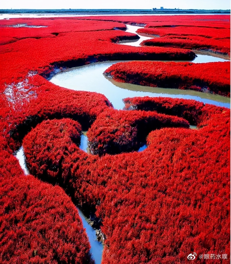 辽宁，“撩您”