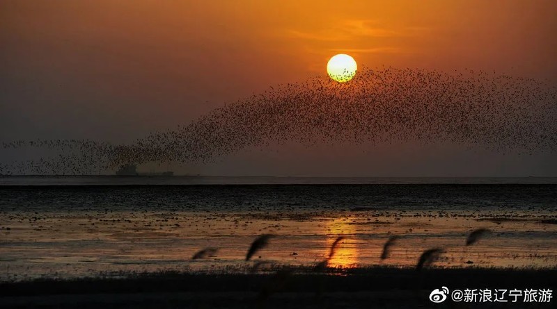 辽宁，“撩您”