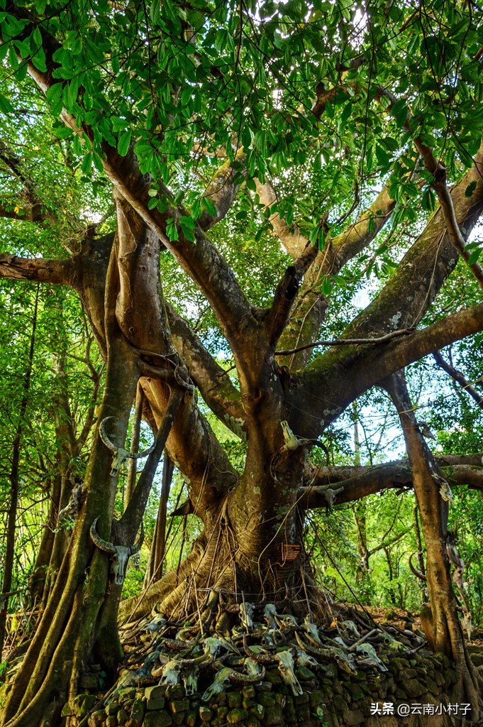 中国最后一个原始部落——翁丁
