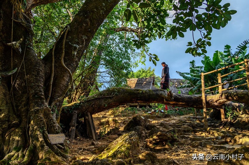 中国最后一个原始部落——翁丁