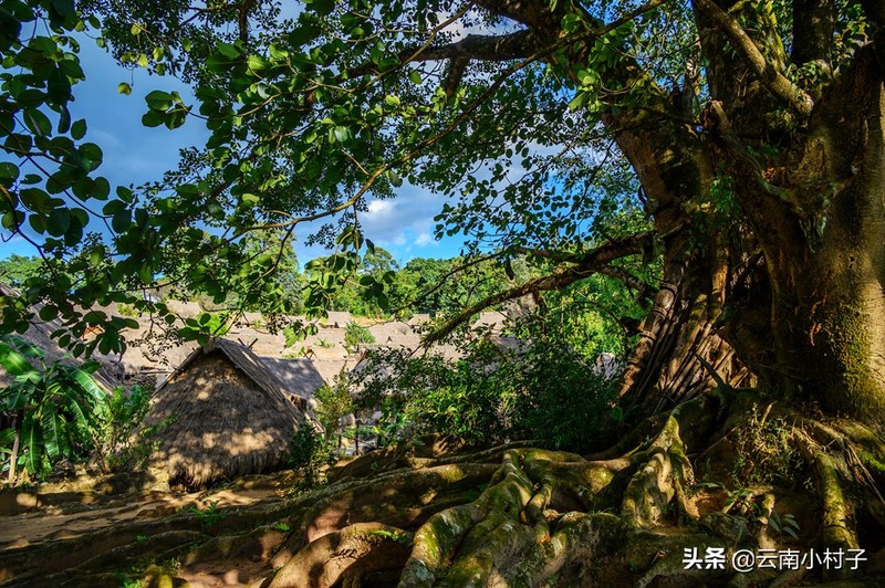 中国最后一个原始部落——翁丁