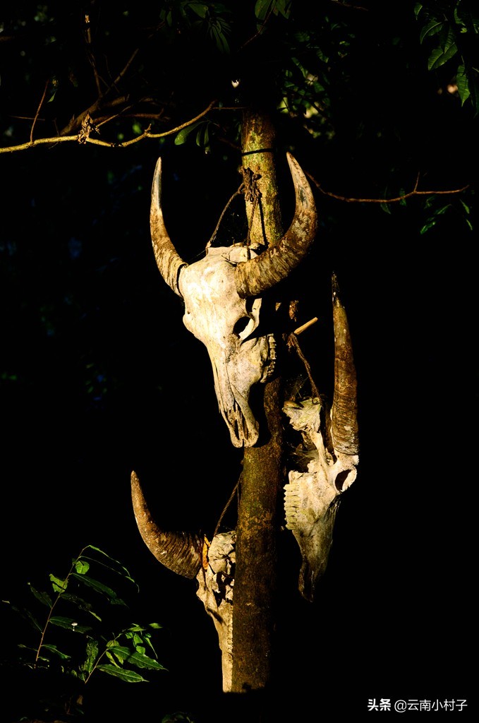 中国最后一个原始部落——翁丁