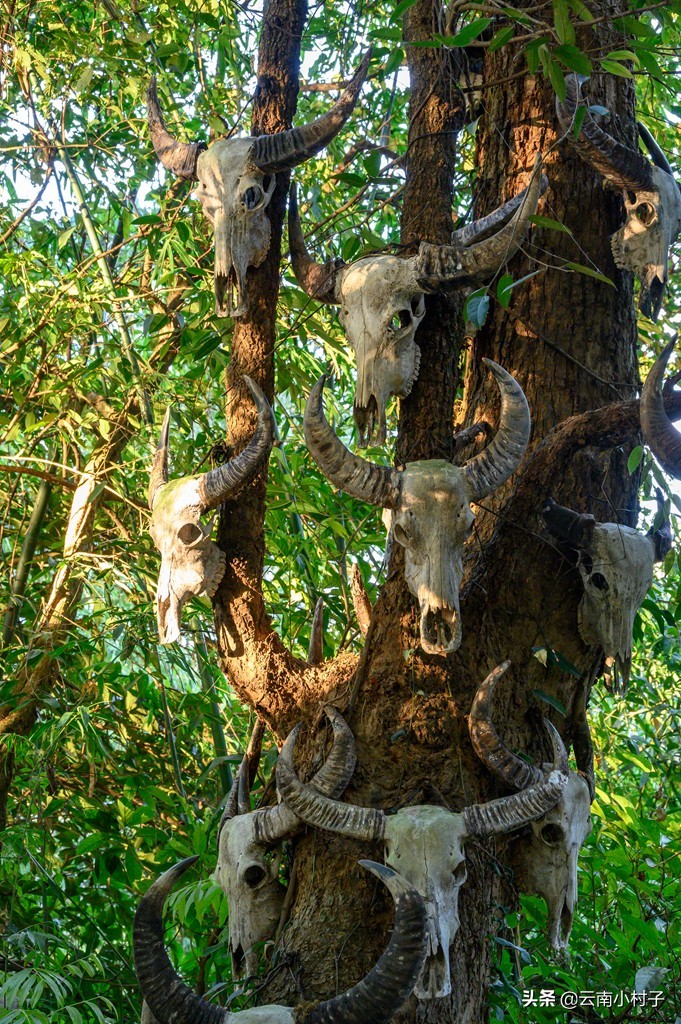 中国最后一个原始部落——翁丁