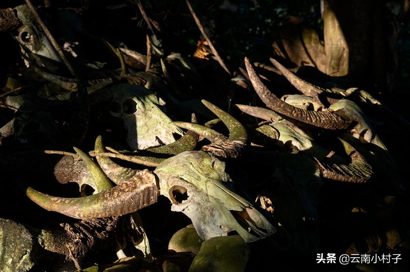 中国最后一个原始部落——翁丁