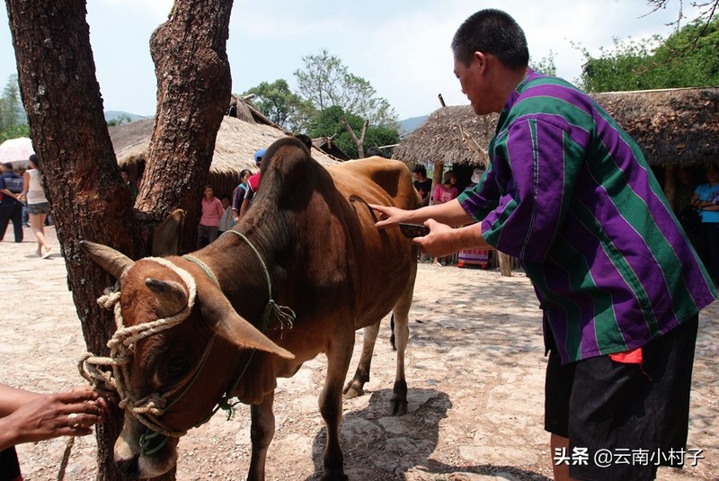 中国最后一个原始部落——翁丁