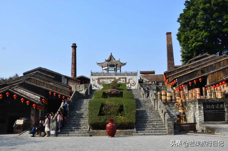 广东发现一百年古树，长在1300°古窑旁，越烧柴火树叶越茂盛