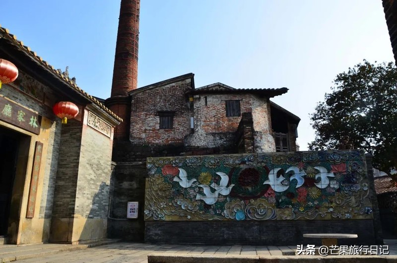 广东发现一百年古树，长在1300°古窑旁，越烧柴火树叶越茂盛