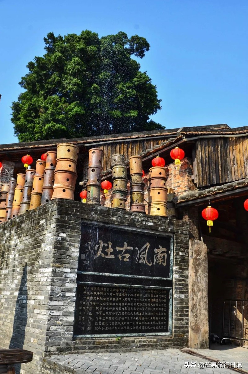 广东发现一百年古树，长在1300°古窑旁，越烧柴火树叶越茂盛