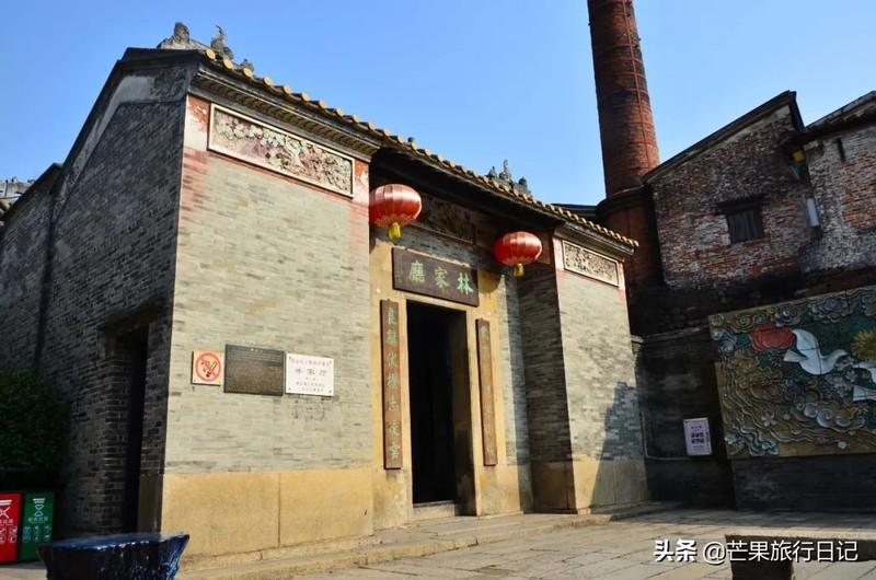 广东发现一百年古树，长在1300°古窑旁，越烧柴火树叶越茂盛