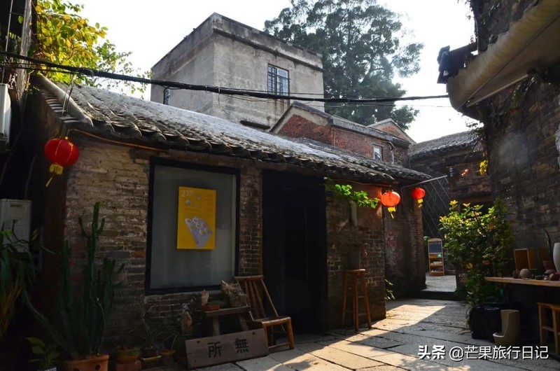 广东发现一百年古树，长在1300°古窑旁，越烧柴火树叶越茂盛