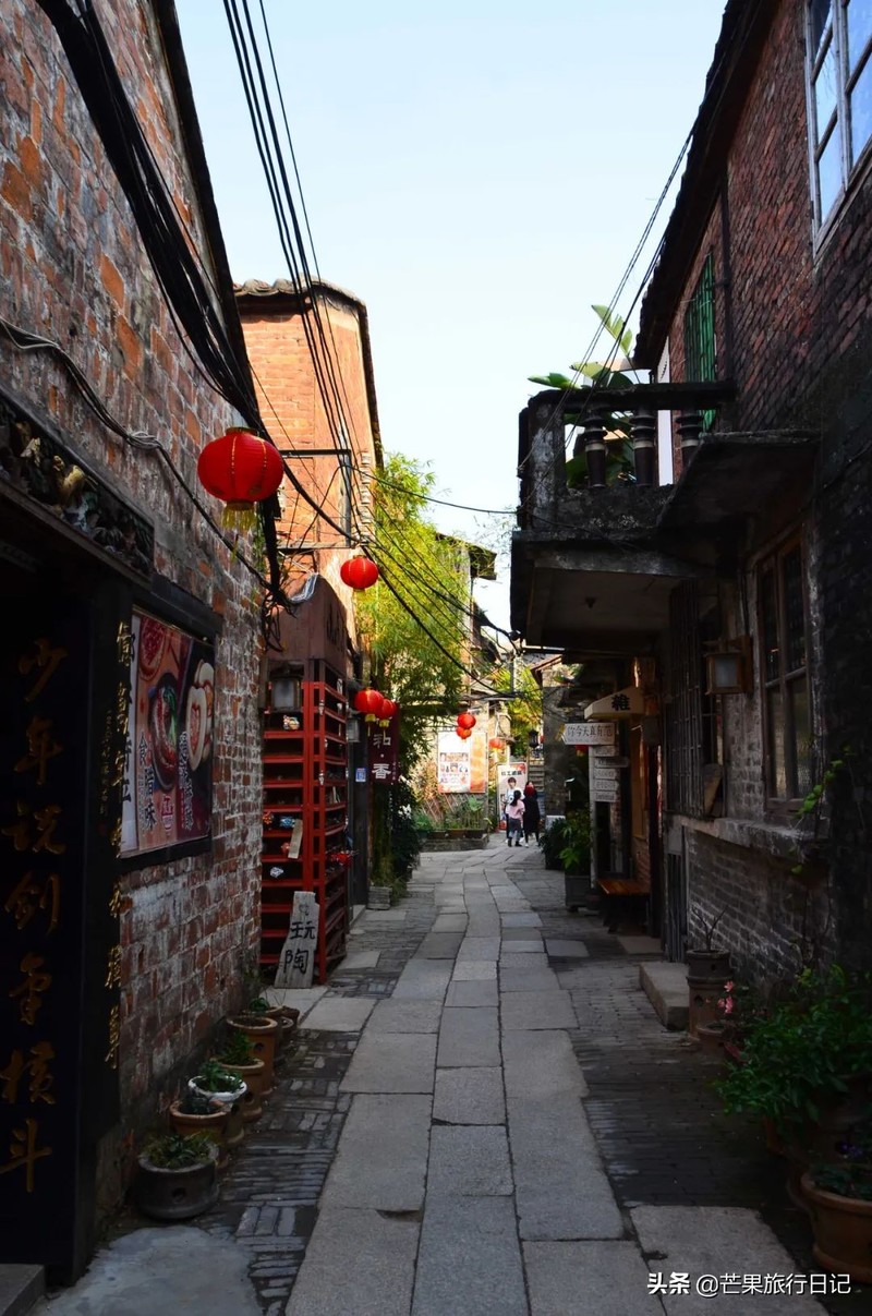 广东发现一百年古树，长在1300°古窑旁，越烧柴火树叶越茂盛